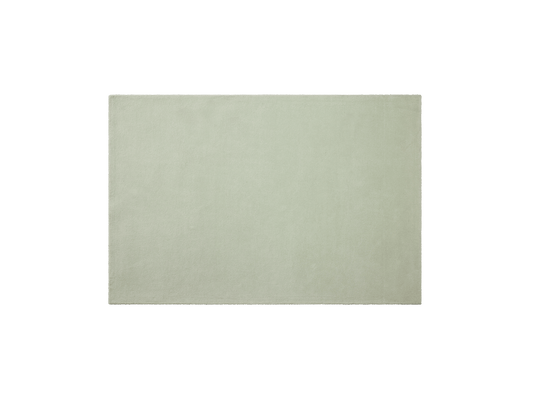 Light green rectangular rug with a plain, smooth texture, placed against a white background. Simple and elegant home decor piece.