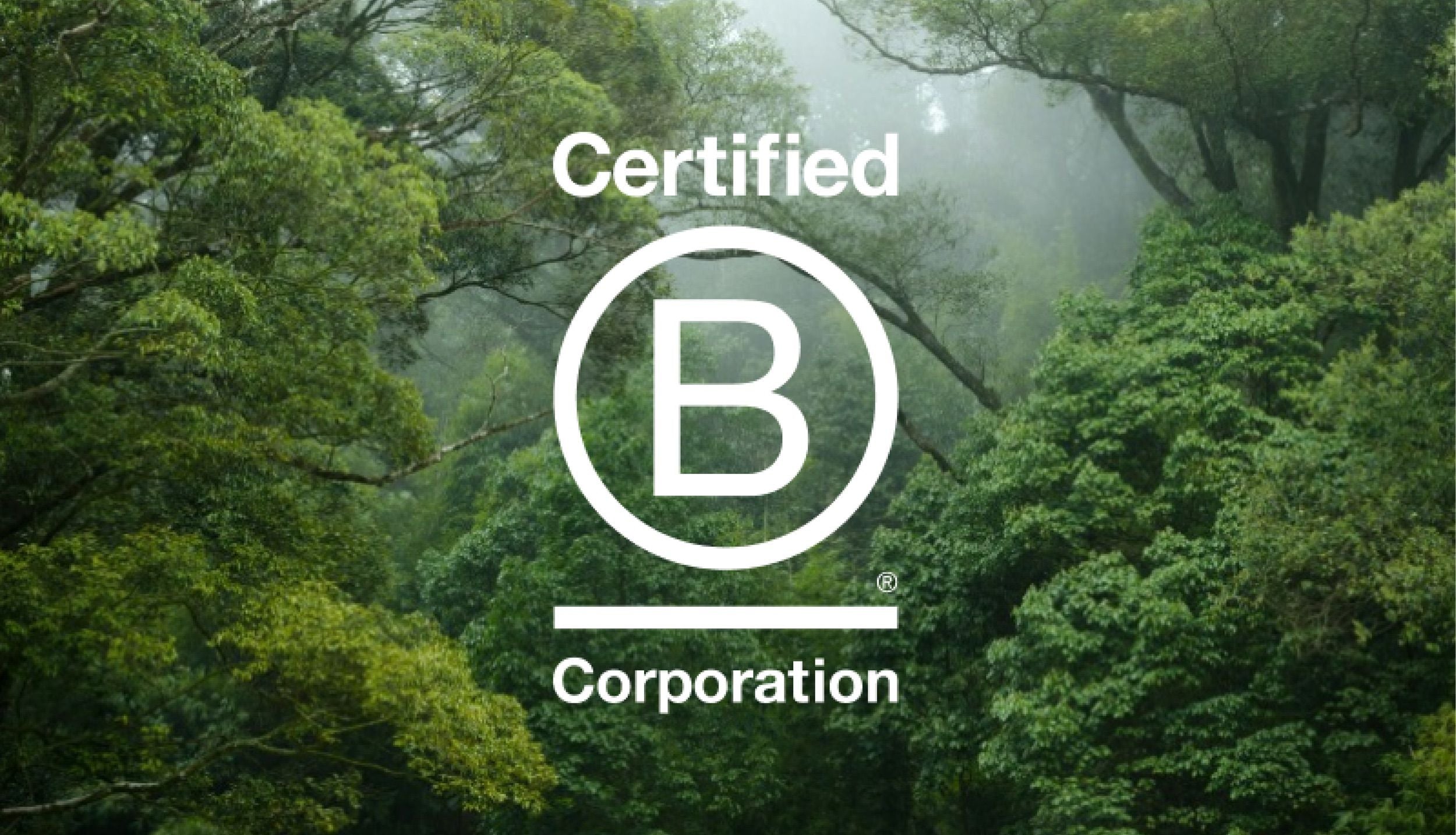 Lush green forest with mist and a "Certified B Corporation" logo overlay in white at the centre.