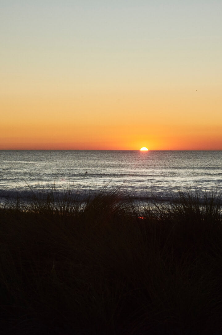 Sunset over the ocean with an orange sky, calm waves, and silhouetted grassy dunes in the foreground.