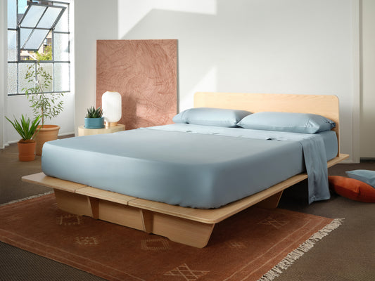 Modern bedroom with a light wood platform bed, blue bedding, and a rust rug. Decor includes plants, a white lamp, and large windows.