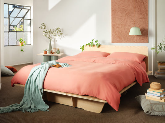 Modern bedroom with light wood bedframe, coral bedding, light teal throw, and decorative plants. Large window, pendant lamp, and books on floor.