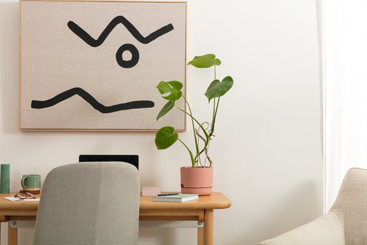 Air purifying indoor plants