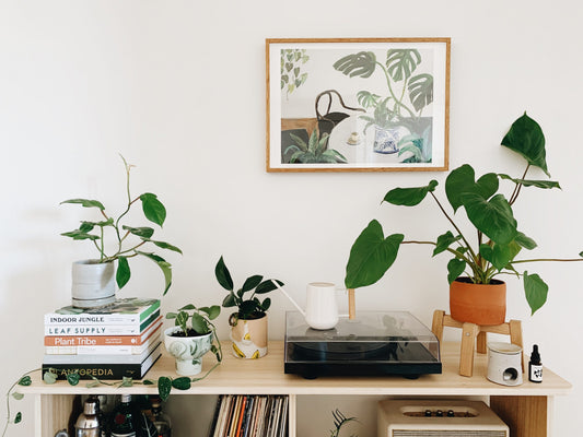 How to style with indoor plants