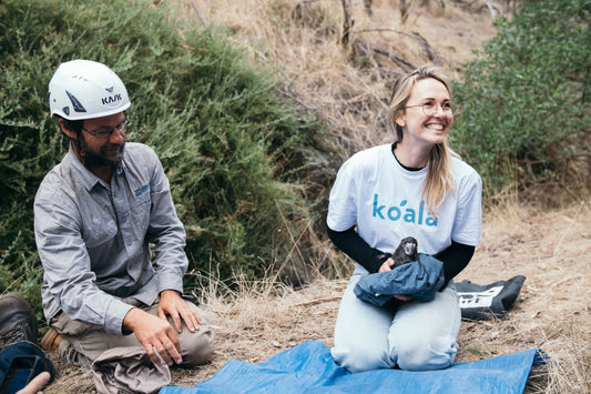 Saving a species | Koala donates $1.9 million to WWF-Australia
