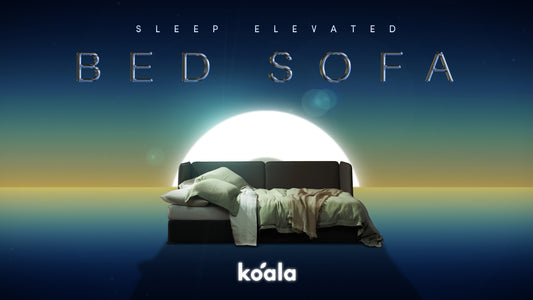 Bed Sofa: A world-first, bed-first innovation
