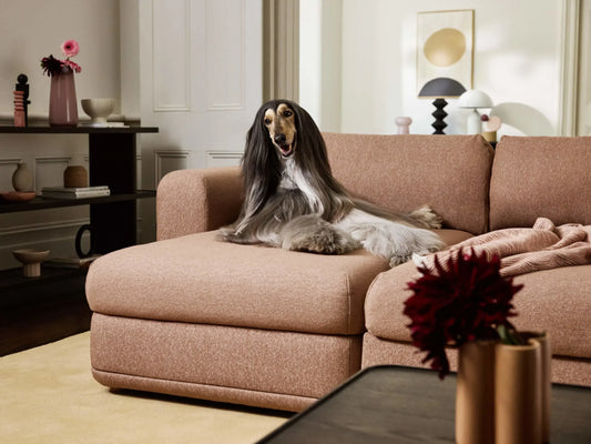 How to Choose the Best Sofa Bed Fabrics