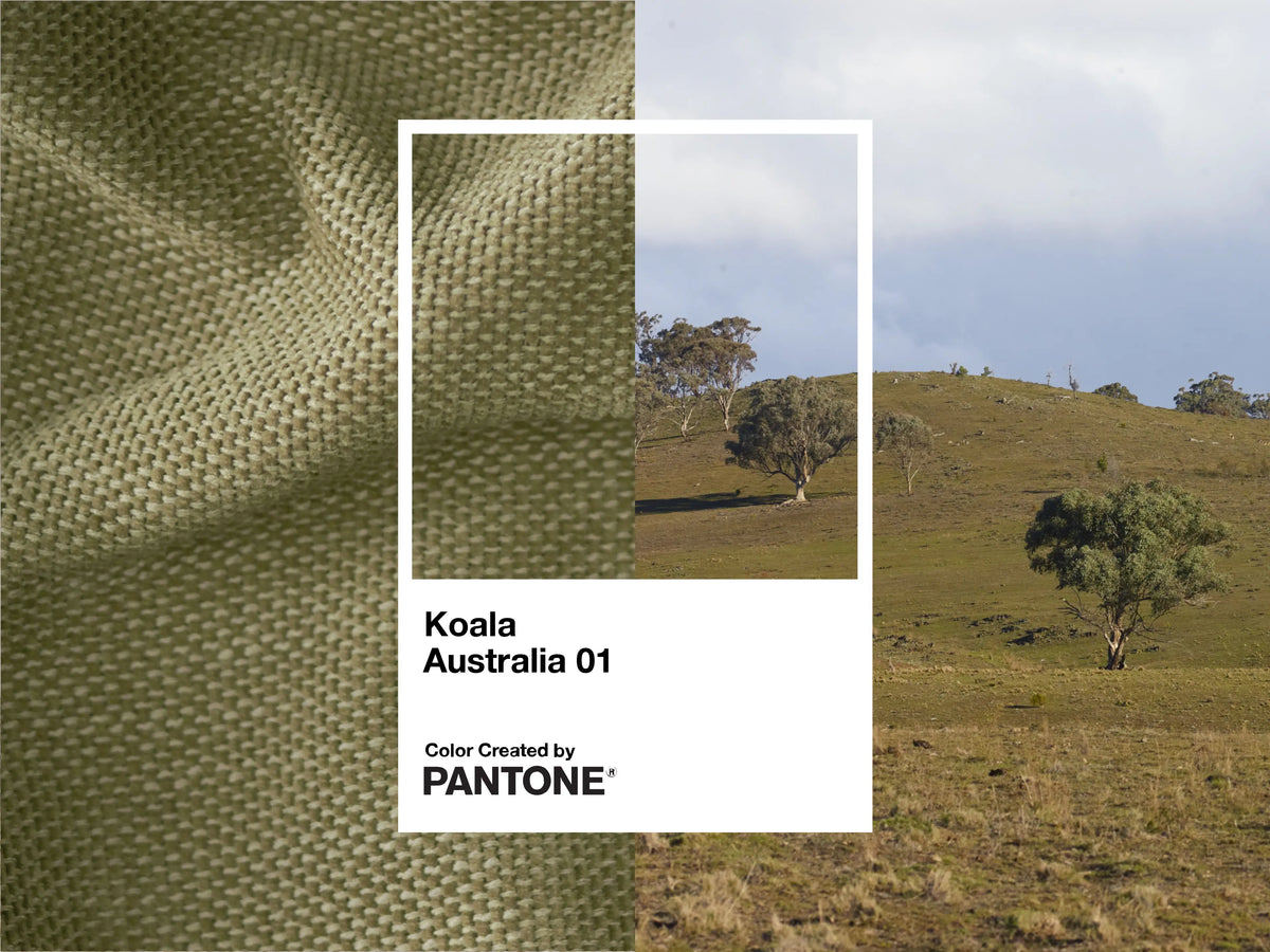 Koala and Pantone Collection