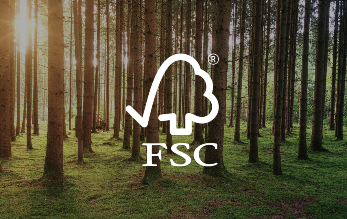 FSC logo over a dense forest with tall trees and sunlight peeking through, highlighting sustainable forestry.