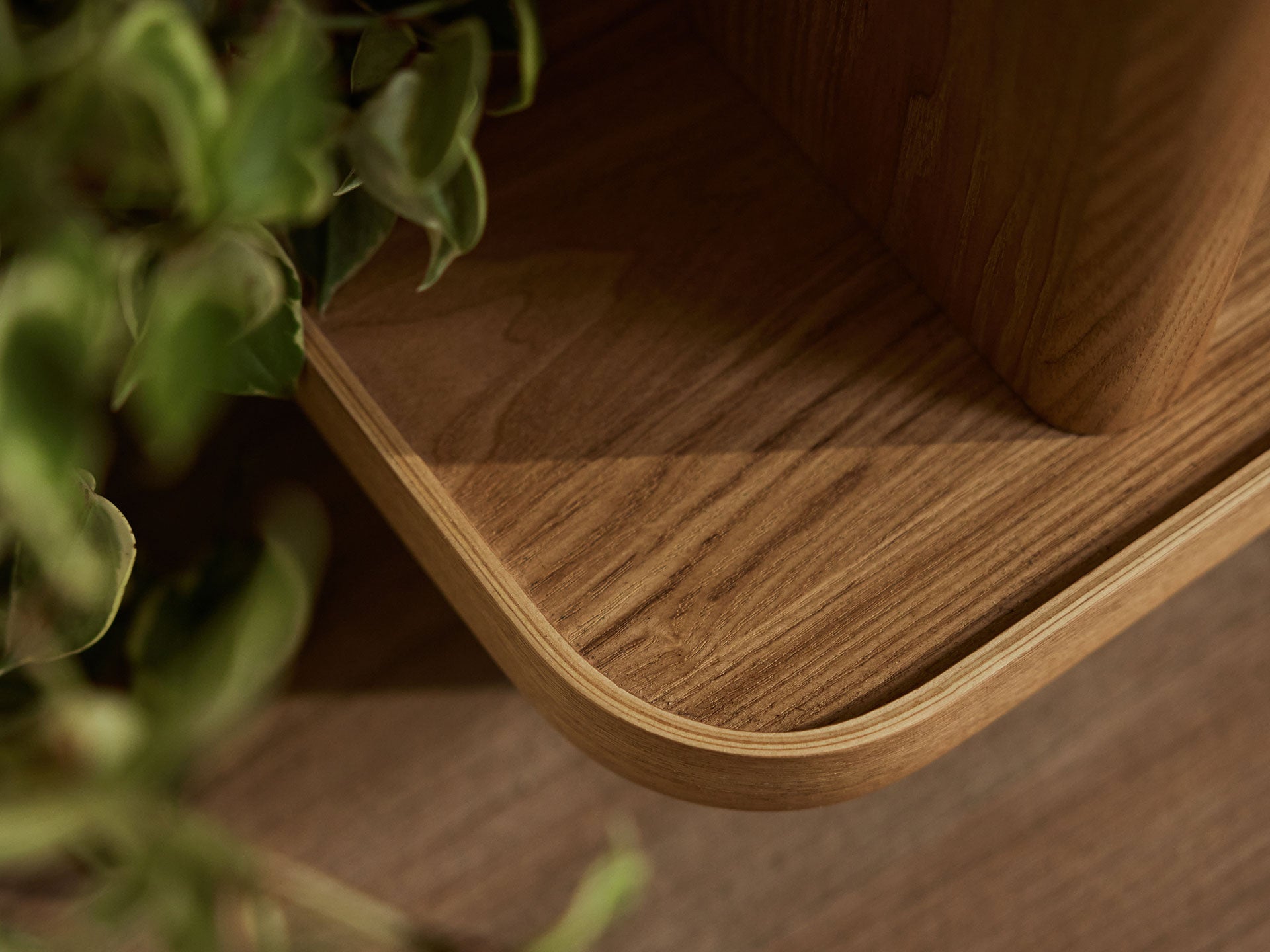 Close-up of wooden furniture corner with smooth rounded edge; light brown wood grain detail. Green plant leaves partially visible on the side.
