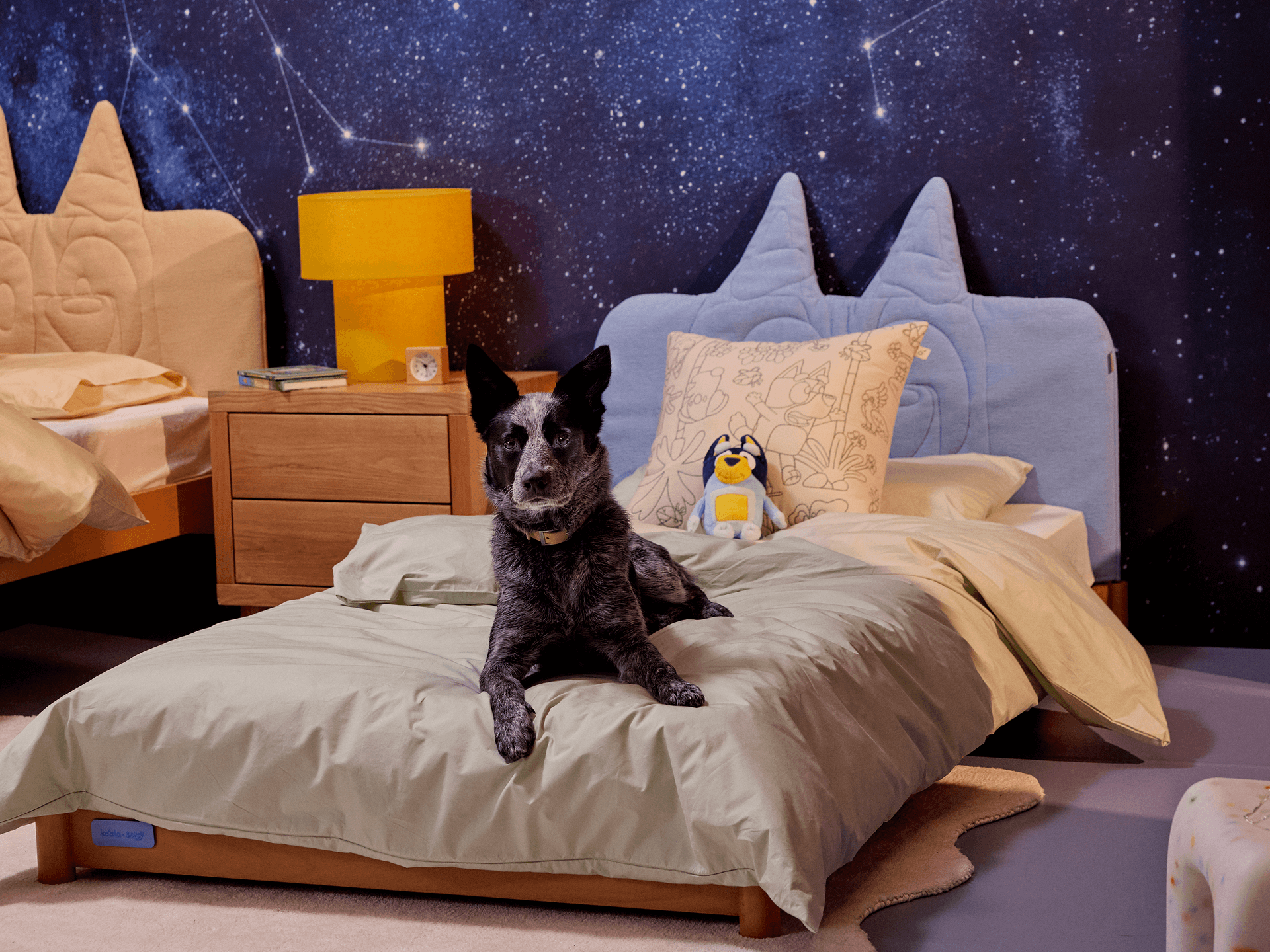 Koala x Bluey Snoozytime Bed Base - Bluey / Bed Base Only