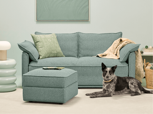 Koala x Bluey Snuggletime Cushion
