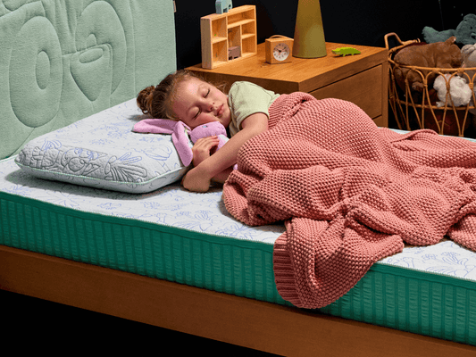 Koala x Bluey Snoozytime Mattress