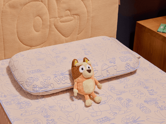 Koala x Bluey Snoozytime Pillow