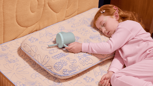 Koala x Bluey Snoozytime Pillow