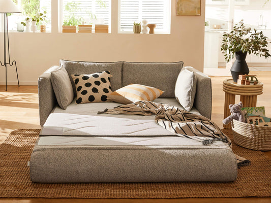 Grey sofa bed extended with cushions and a striped throw. Decor includes potted plants, a wooden side table, and a woven rug. Bright window light.