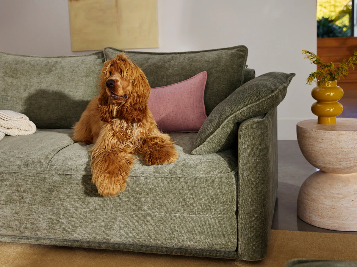 Koala Sofa Bed [4th Gen] - Forest Dawn / 3-Seater (Queen)