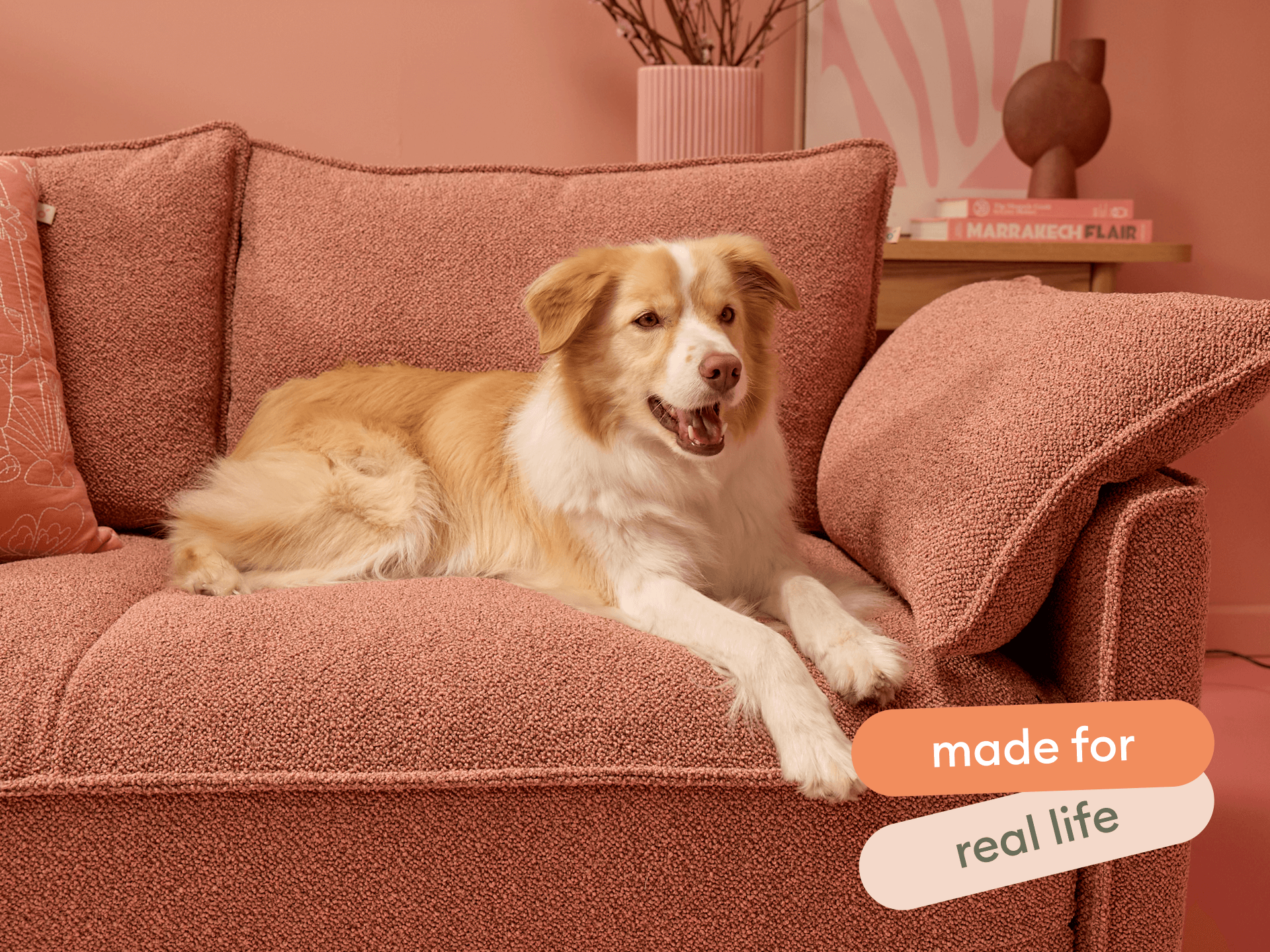 Koala x Bluey Playtime Sofa Bed - 2.5-Seater (Double) / Kookaburra