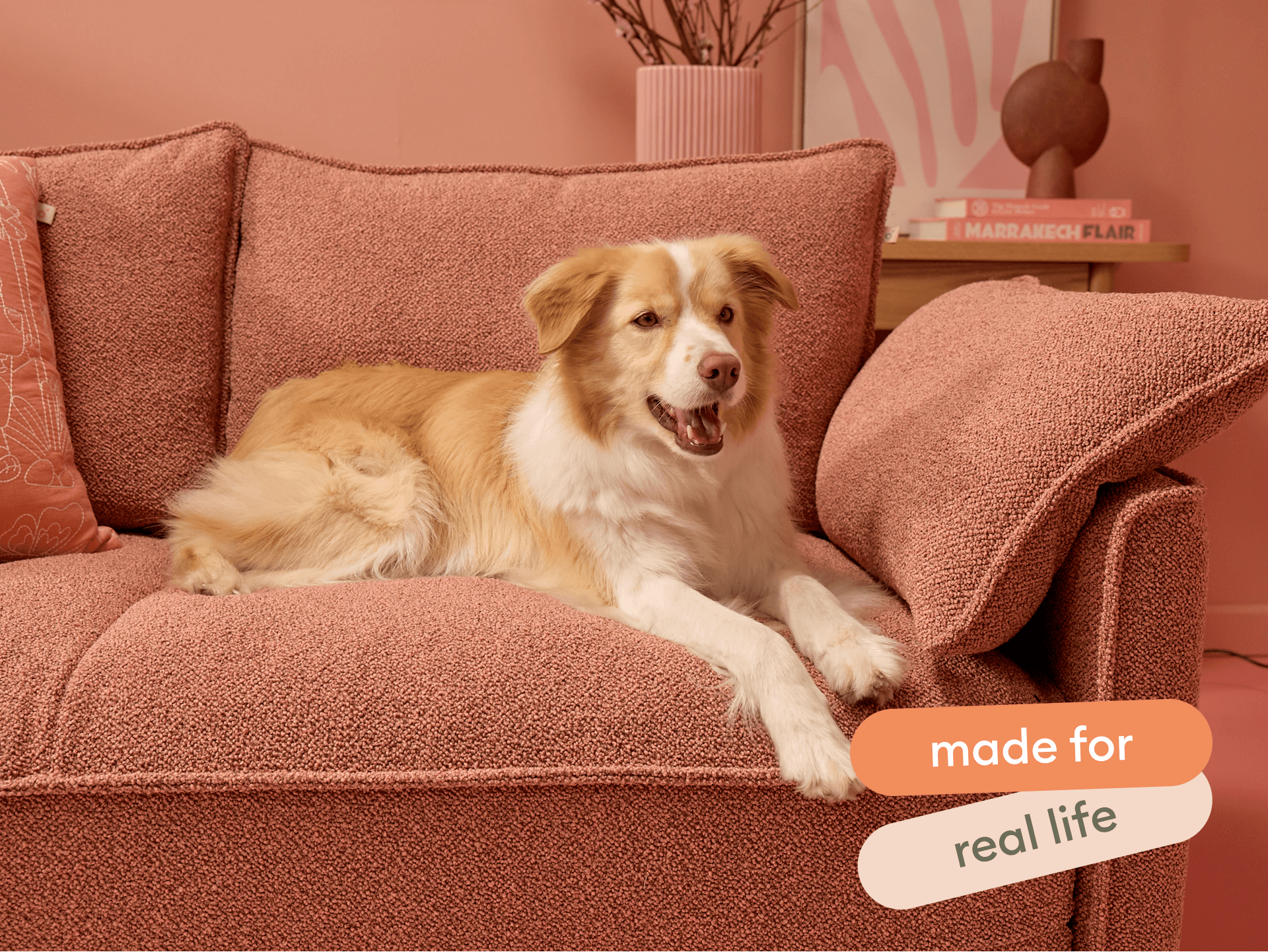 Koala x Bluey Playtime Sofa Bed - 3-Seater (Queen) / Kookaburra