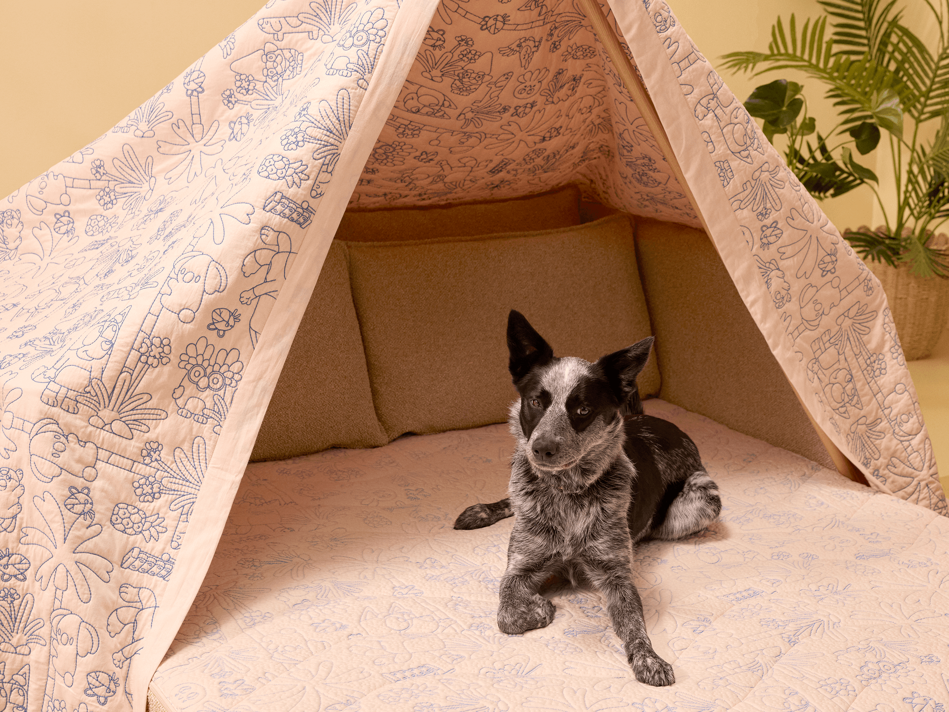 Koala x Bluey Playtime Sofa Bed - 3-Seater (Queen) / Potoroo