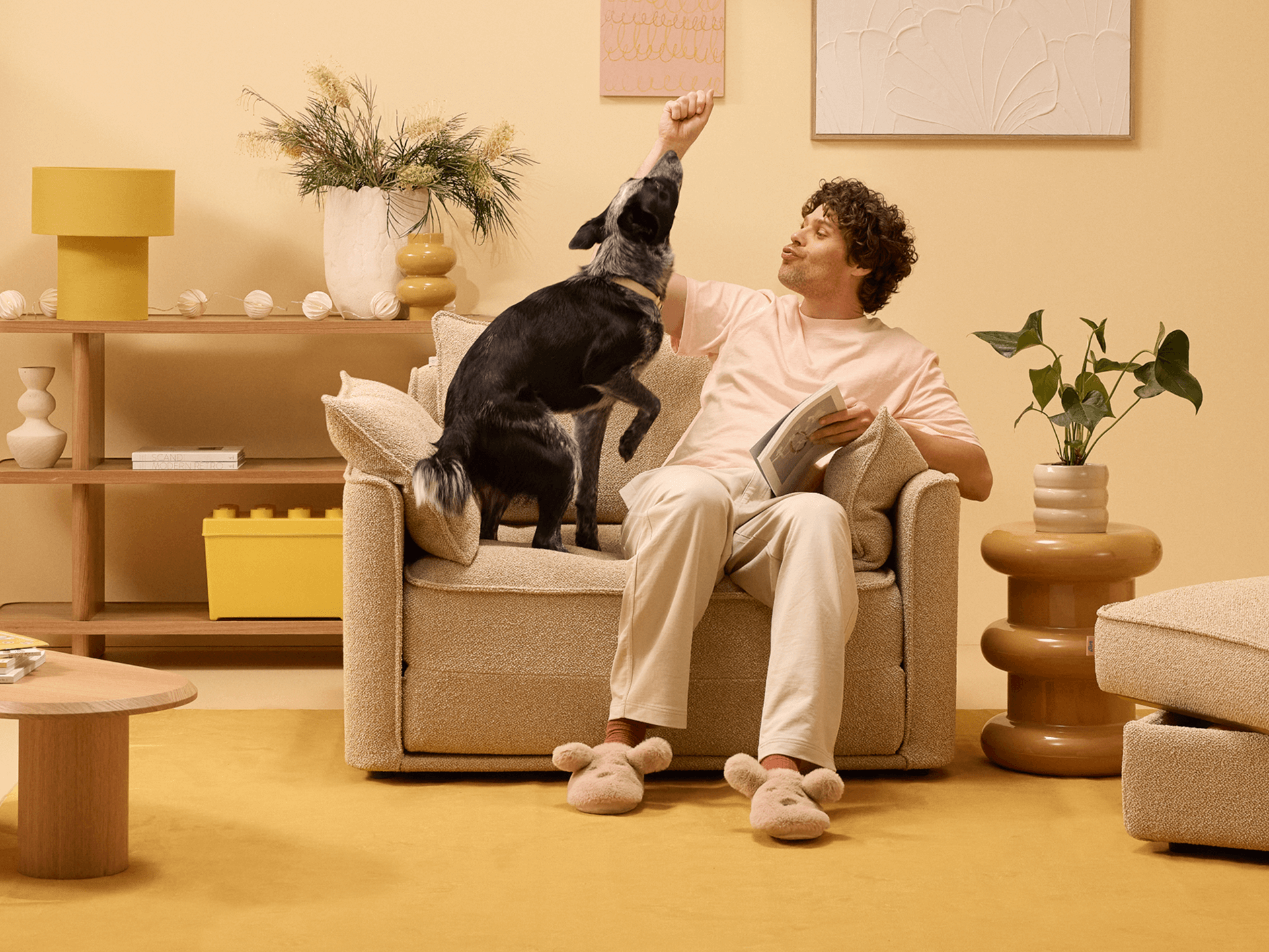 Koala x Bluey Playtime Sofa Bed - 1.5-Seater (Single) / Potoroo