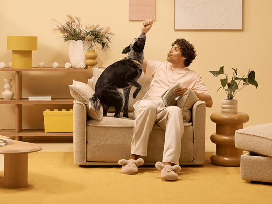 Koala x Bluey Playtime Sofa Bed
