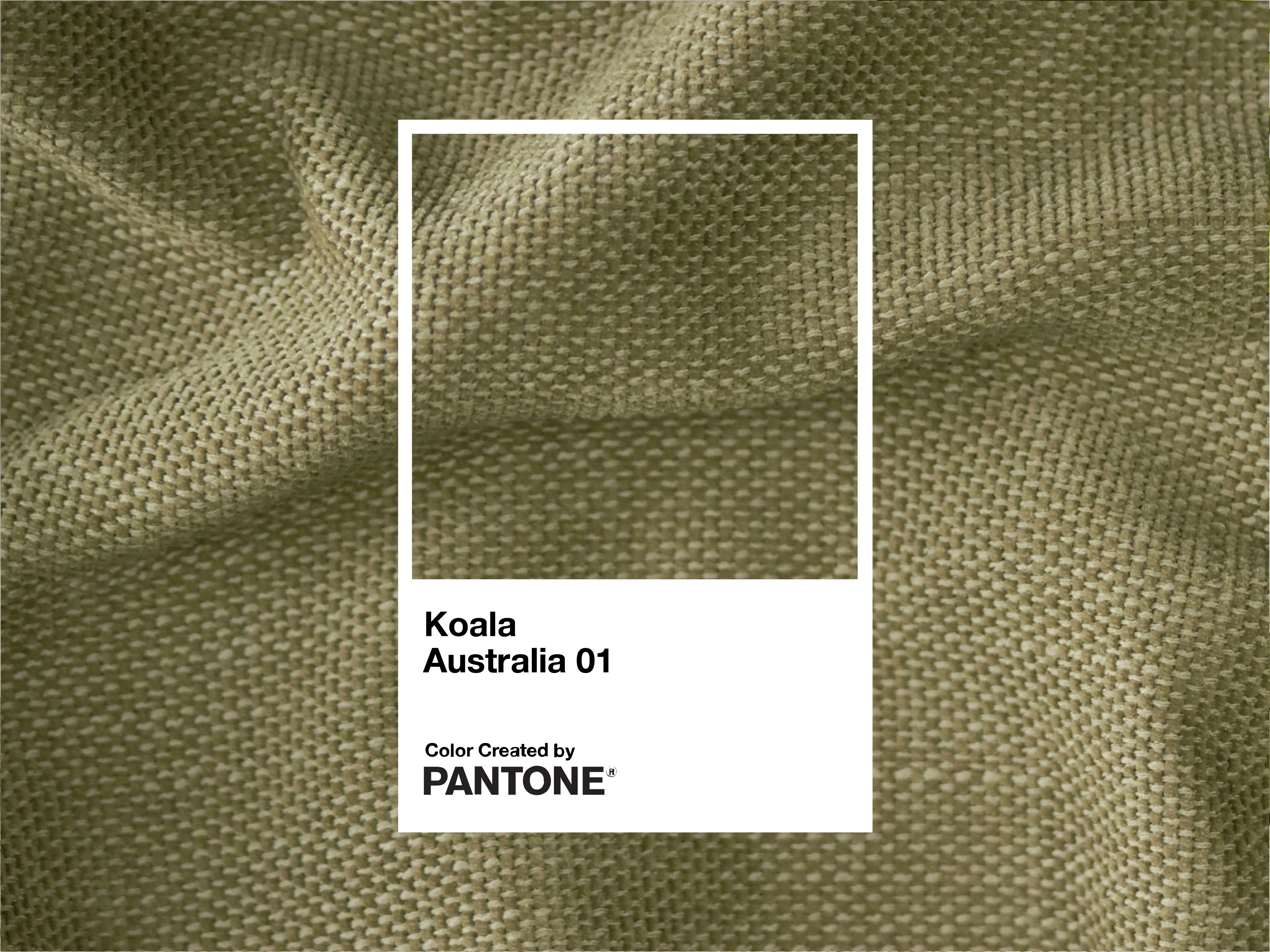 Koala Sofa Bed Ottoman [4th Gen] - Australia 01 (Pantone)